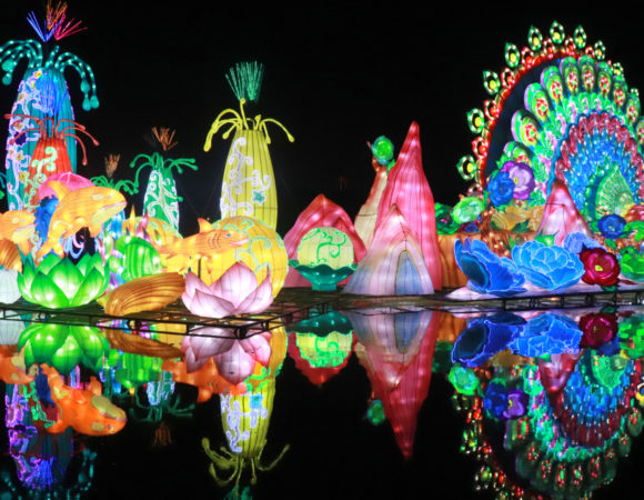 Glow Garden